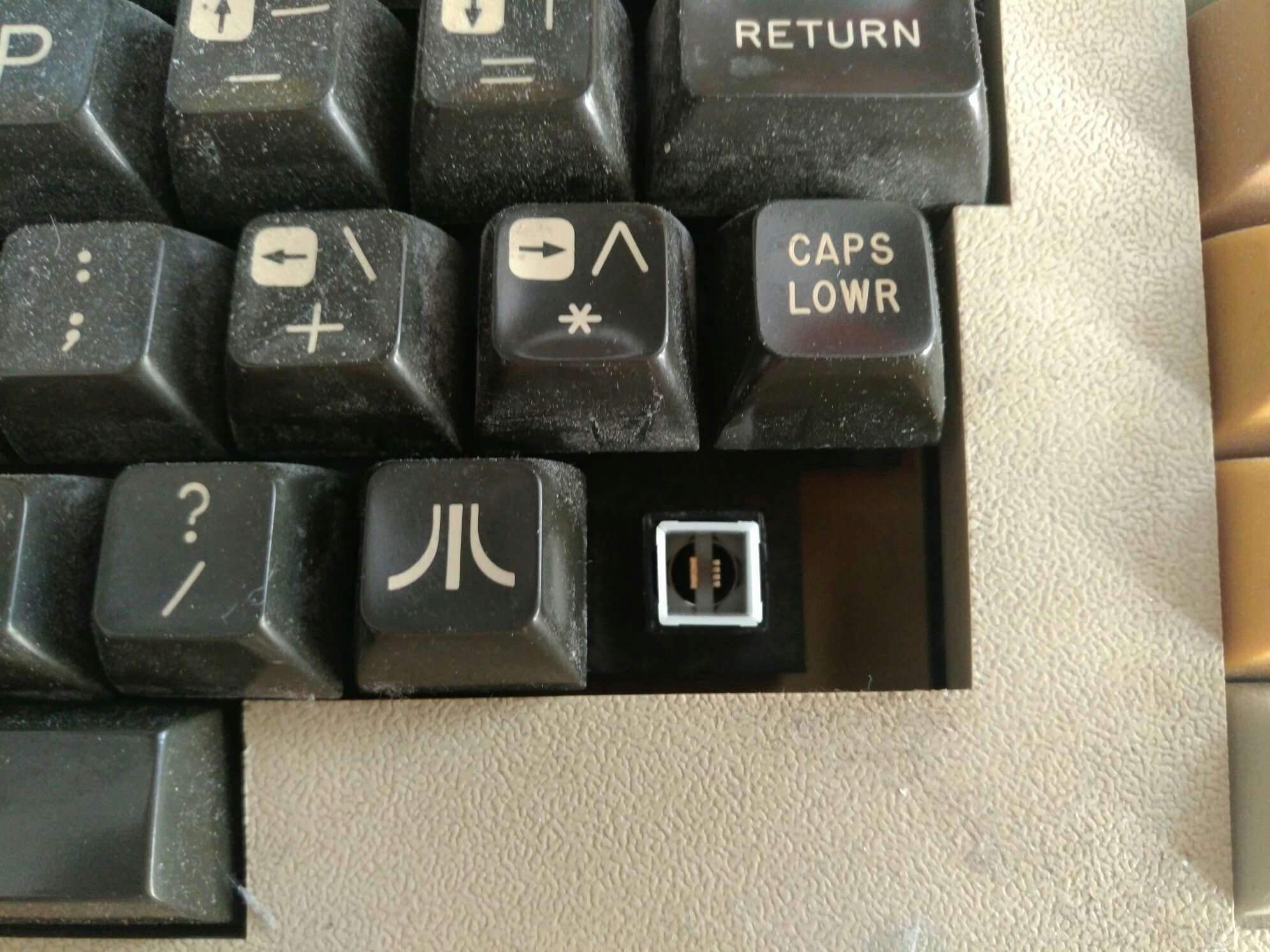 1655830607375.JPEG